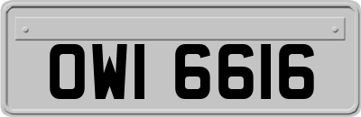 OWI6616