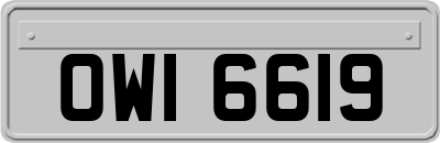 OWI6619