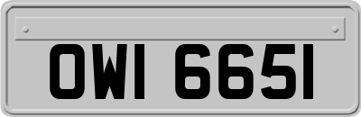 OWI6651