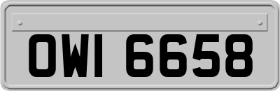 OWI6658