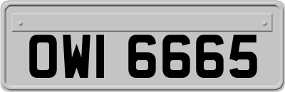 OWI6665