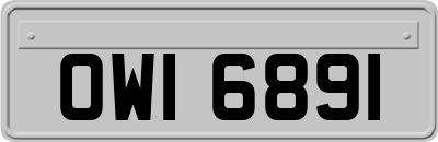 OWI6891