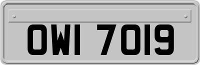 OWI7019