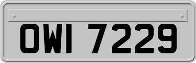 OWI7229