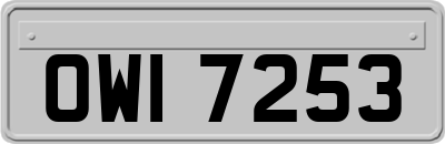 OWI7253