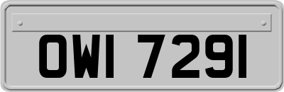 OWI7291