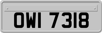 OWI7318