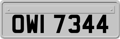 OWI7344