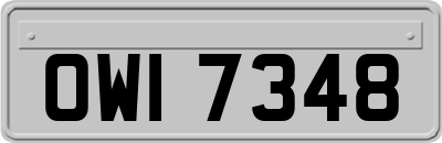 OWI7348