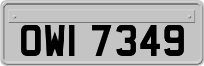 OWI7349