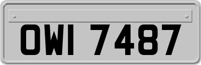 OWI7487