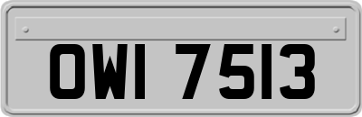 OWI7513
