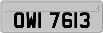 OWI7613