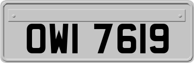 OWI7619
