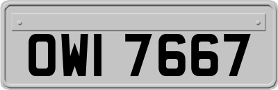 OWI7667