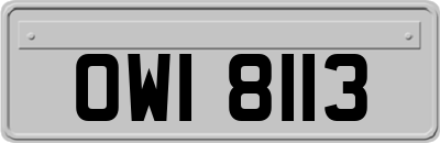 OWI8113