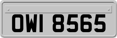 OWI8565