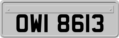OWI8613