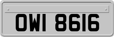 OWI8616