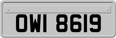 OWI8619