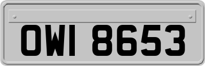 OWI8653