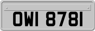 OWI8781