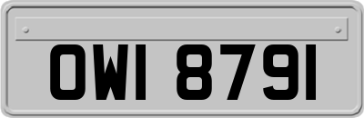 OWI8791