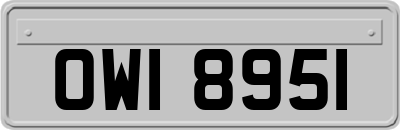 OWI8951