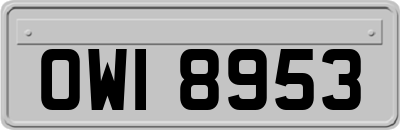 OWI8953