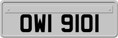 OWI9101