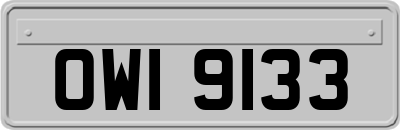 OWI9133