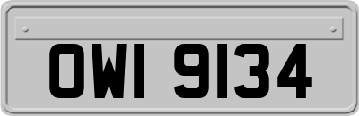 OWI9134