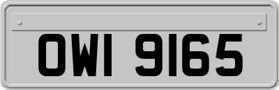 OWI9165