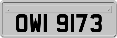OWI9173