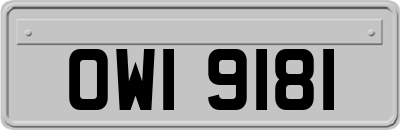 OWI9181