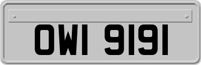 OWI9191
