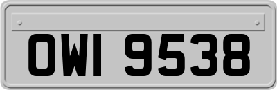 OWI9538
