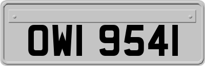 OWI9541