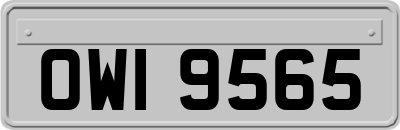 OWI9565