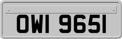OWI9651