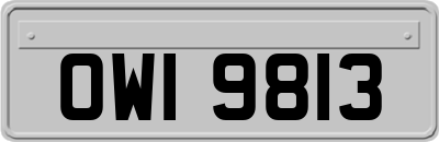 OWI9813