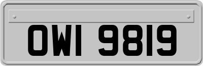 OWI9819