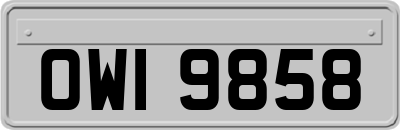 OWI9858