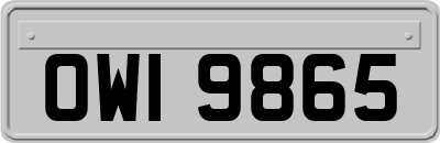 OWI9865