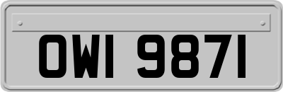 OWI9871