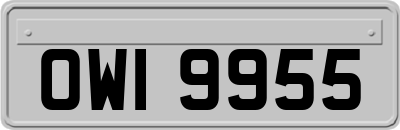 OWI9955