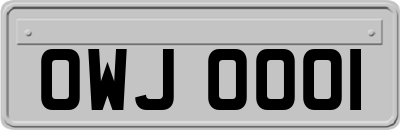 OWJ0001