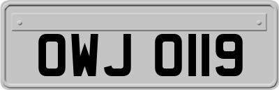OWJ0119