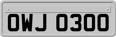 OWJ0300