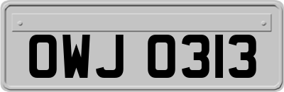 OWJ0313